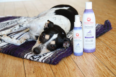 4.5 Oz. Dog Coat Spray Lavender Chamomile