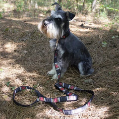 "Explore the great outdoors with the Pendleton Acadia National Park Hiker Durable Dog Leash. Inspired by the timeless beauty of Acadia National Park. Made with care in the USA."