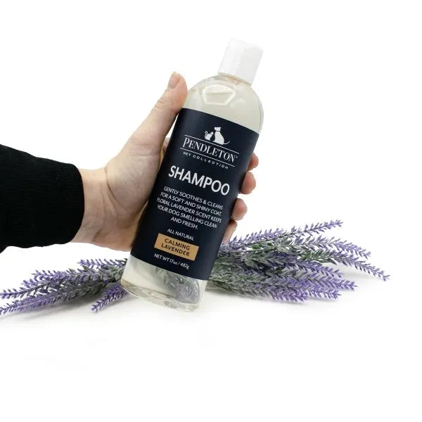 Pendleton Pet Dog Shampoo - Calming Lavender