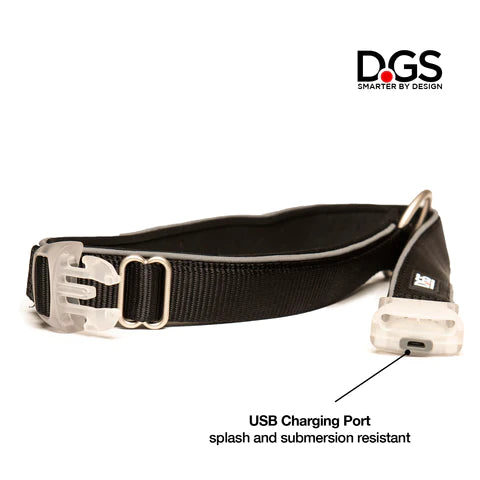 DGS Comet LED Safety Collar