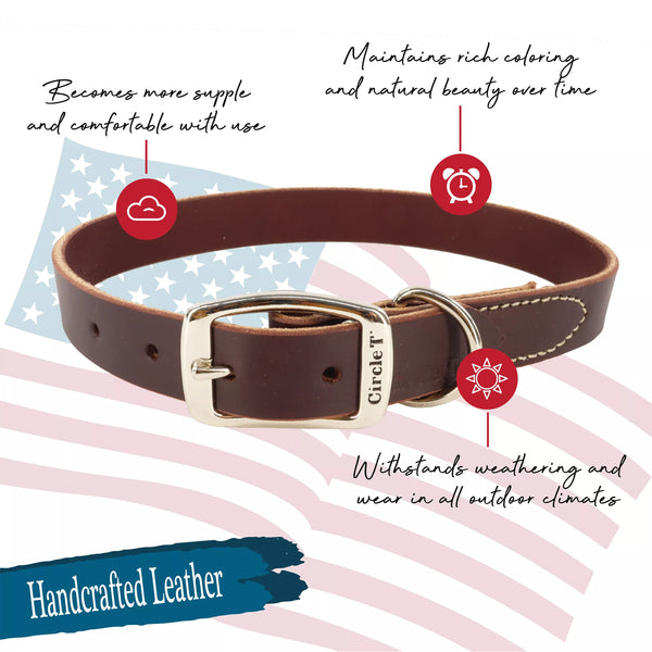 Circle T Latigo Leather Town Dog Collar