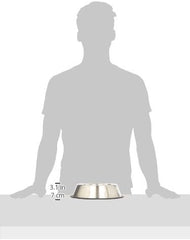 ETHICAL Stainless Steel Non-Tip Bowl 32oz