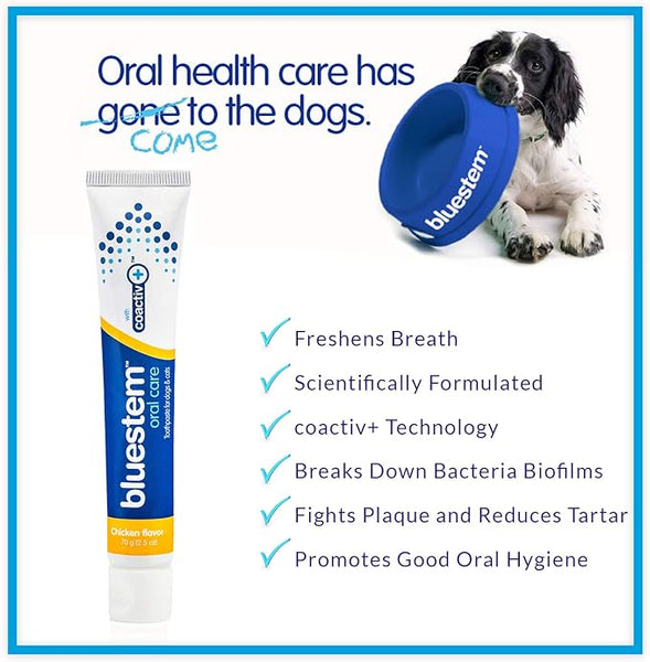 BLUESTEM Toothpaste/Toothbrush Chicken 2.5oz – Intense Pet Care