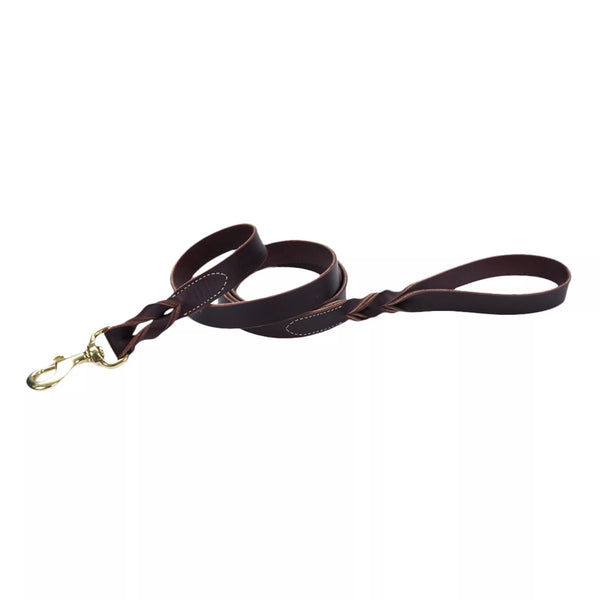 Circle T Latigo Leather Twist Dog Leash with Brass Hardware