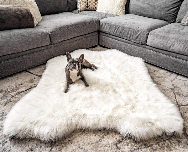 PAW BRANDS Puprug Faux Animal Print Memory Foam Orthopedic Dog Bed, Long-Lasting, Premium Memory Foam Base with Ultra-Soft Faux Fur Cover (Polar Bear Faux Hide)