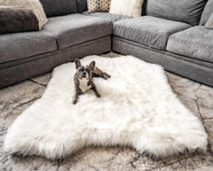 PAW BRANDS Puprug Faux Animal Print Memory Foam Orthopedic Dog Bed, Long-Lasting, Premium Memory Foam Base with Ultra-Soft Faux Fur Cover (Polar Bear Faux Hide)