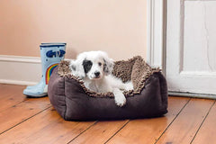 Dirty Dog Lounger Bed