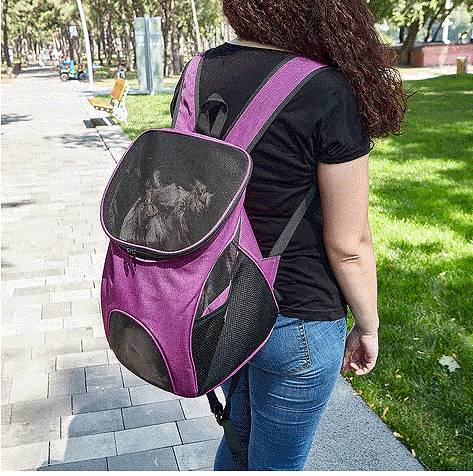 DOGLINE Pet Carrier Pack (Front or Back) Pink