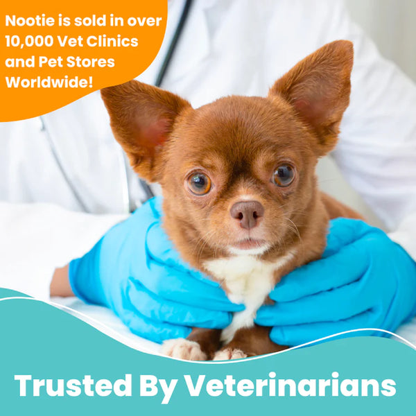 Nootie Medicated Pet Wipes 60 Pads 60 Pads - Antifungal & Antibacterial