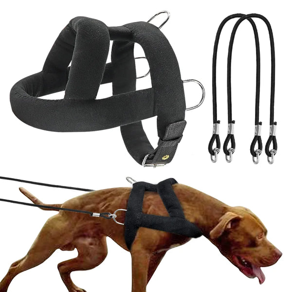 harness-leash-set