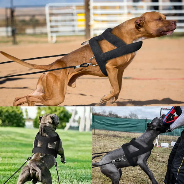 "Adjustable Weight Pulling Training Harness with Leash - Ideal for Medium and Large Working Dogs, - Durable Harness Vest"