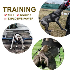 "Adjustable Weight Pulling Training Harness with Leash - Ideal for Medium and Large Working Dogs, - Durable Harness Vest"