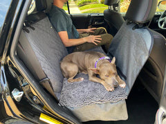 DGS Dirty Dog 3-in-1 Car Seat Cover and Hammock