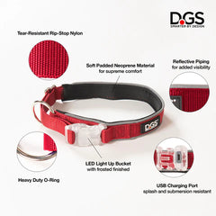 DGS Comet LED Safety Collar