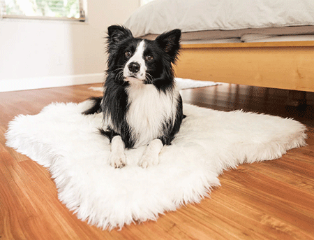 PAW BRANDS Puprug Faux Animal Print Memory Foam Orthopedic Dog Bed, Long-Lasting, Premium Memory Foam Base with Ultra-Soft Faux Fur Cover (Polar Bear Faux Hide)