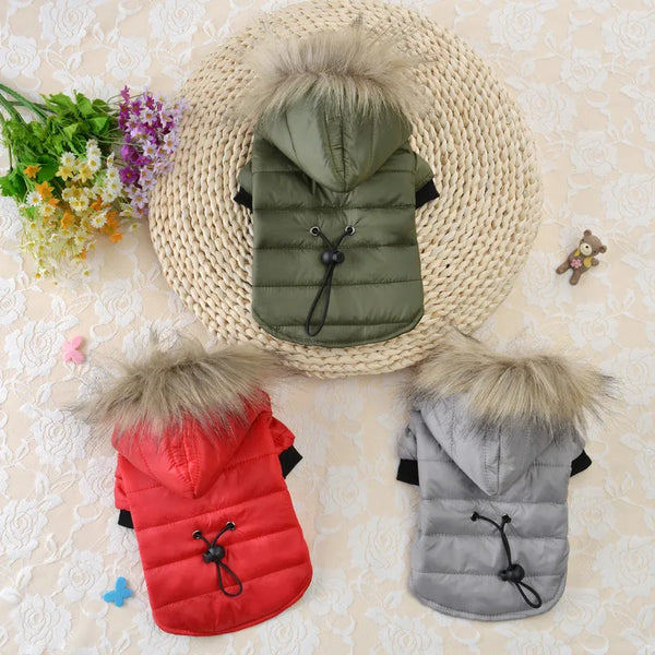 "Warm Winter Jacket with Fur Hood for Small and Medium Dogs - Cozy Pet Clothes"