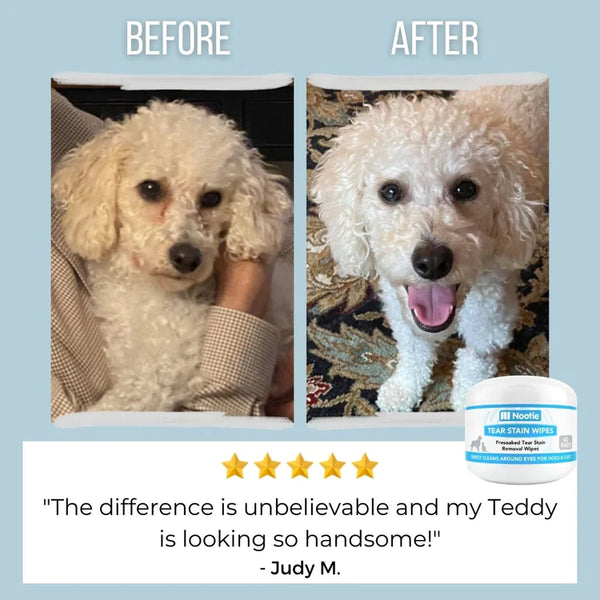 "Gentle Care for Bright Eyes: Nootie Tear Stain Wipes for Dogs & Cats - 60 Pre-Soaked Pads to Delicately Clean Around the Eyes. Keep Your Pet's Vision Clear and Their Fur Beautiful with Ease."