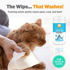 "Soothing Grooming Bliss: Nootie Waterless Shampoo Wipes with Aloe & Oatmeal - Sweet Pea & Vanilla. Embrace the Ease of Waterless Grooming with (70) 5" x 6" Wipes Per Tub for Dogs & Cats