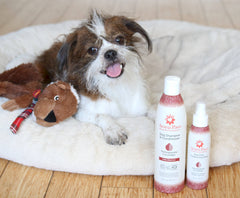 4.5 Oz. Dog Coat Spray Pomegranate Cucumber