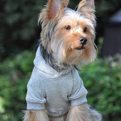 Flex-Fit Dog Hoodie