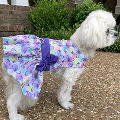 Purple Butterfly Dog Dress with Matching Leash