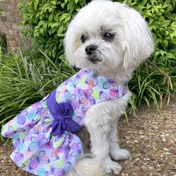 Purple Butterfly Dog Dress with Matching Leash