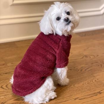 Soft Plush Pullover - Burgundy